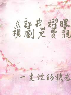 《许我耀眼》电视剧免费观看全集22