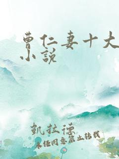 曹仁妻十大巅峰小说