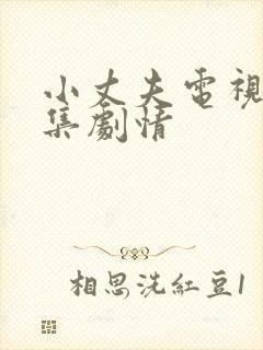 小丈夫电视剧分集剧情