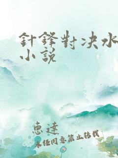 针锋对决水千丞小说