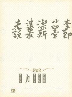 老婆洁茹李志小说最新章节列表