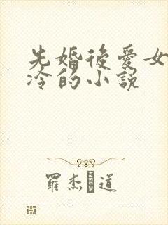 先婚后爱女主清冷的小说