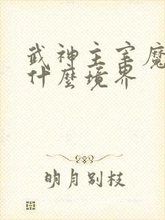 武神主宰魔主是什么境界