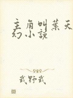 主角叫叶天的玄幻小说