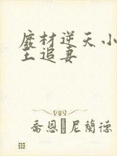 废材逆天小姐邪王追妻