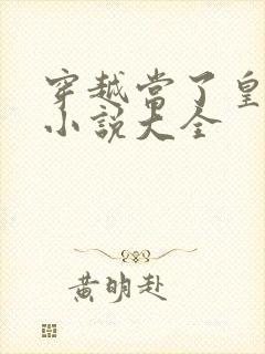 穿越当了皇上的小说大全