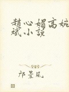 赵心媚高婉君陈斌小说