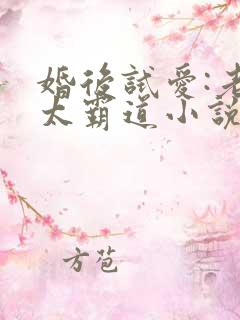 婚后试爱:老公太霸道小说免费阅读