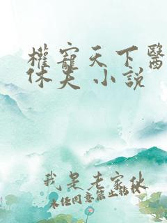 权宠天下医妃要休夫 小说