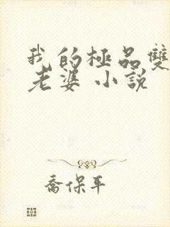 我的极品双胞胎老婆 小说