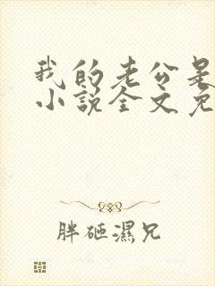 我的老公是大佬小说全文免费阅读