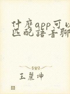 什么app可以匹配语音聊天