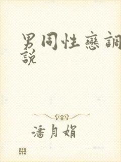 男同性恋调教小说