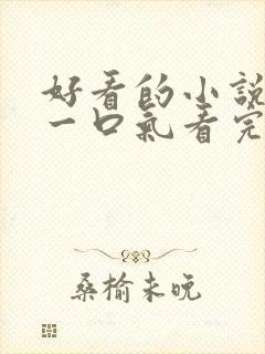 好看的小说推文一口气看完