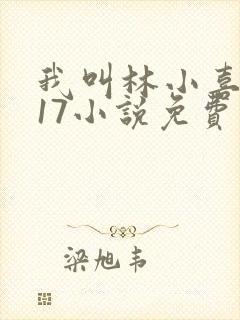 我叫林小喜今年17小说免费看