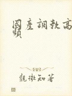 国产调教高潮视频