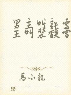 男主叫许云琛女主叫裴馥雪的小说