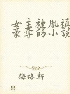 女主被胤禛强取豪夺的小说