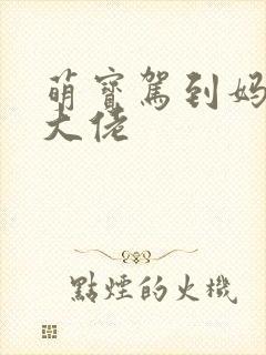 萌宝驾到妈咪是大佬