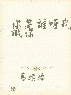 你是谁呀我不认识你