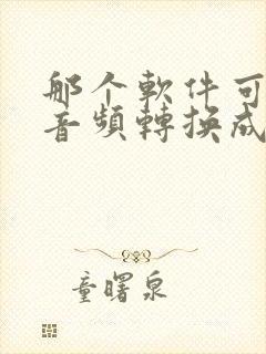 那个软件可以把音频转换成文字