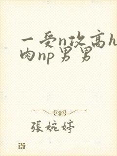 一受n攻高h全肉np男男