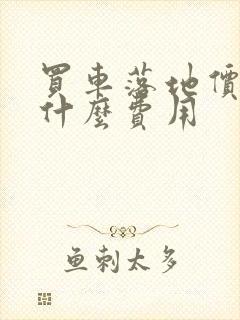 买车落地价包括什么费用