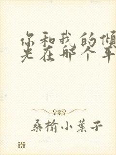 你和我的倾城时光在哪个平台播出