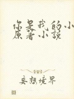 你是我的小确幸原著小说