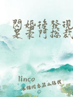 闪婚后发现老公是豪门总裁 全本