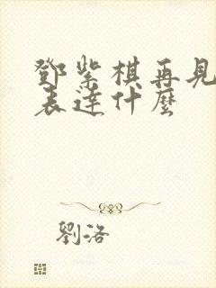 邓紫棋再见歌词表达什么