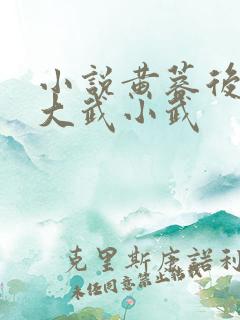 小说黄蓉后传之大武小武
