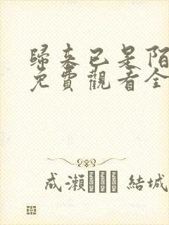 归来已是陌路人免费观看全集