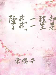 陪我一程却陪不了我一生是什么歌