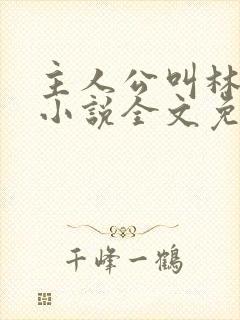 主人公叫林默的小说全文免费