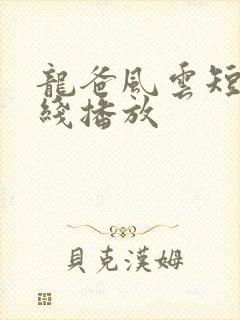 龙爸风云短剧在线播放