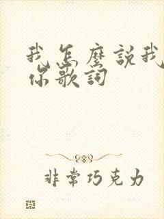 我怎么说我不爱你歌词