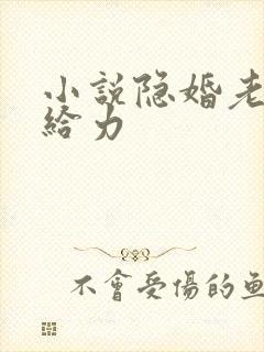 小说隐婚老公超给力