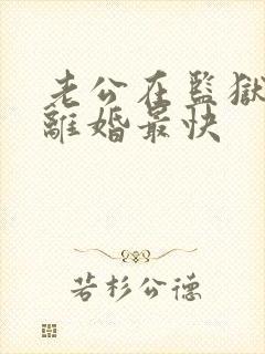 老公在监狱怎么离婚最快