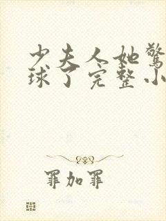 少夫人她惊艳全球了完整小说