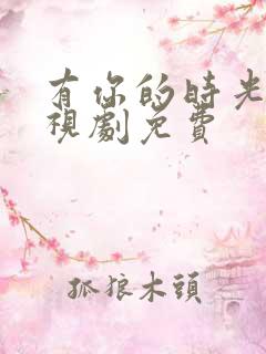 有你的时光里电视剧免费