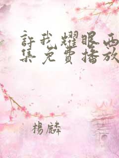 许我耀眼西瓜全集免费播放