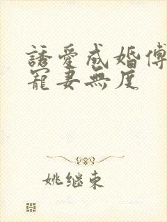 诱爱成婚傅先生宠妻无度