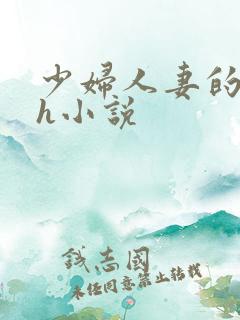 少妇人妻的欲望h小说