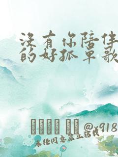 没有你陪伴我真的好孤单歌名