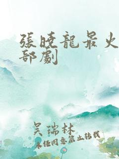 张晓龙最火的三部剧