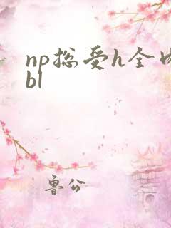 np总受h全肉bl
