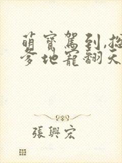 萌宝驾到,总裁爹地宠翻天