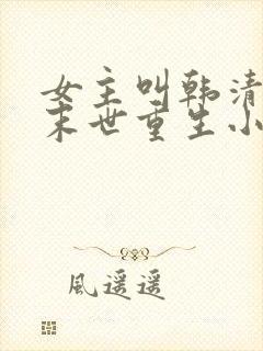 女主叫韩清夏的末世重生小说