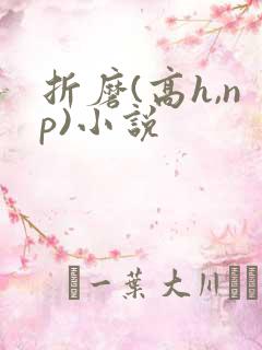折磨(高h,np)小说